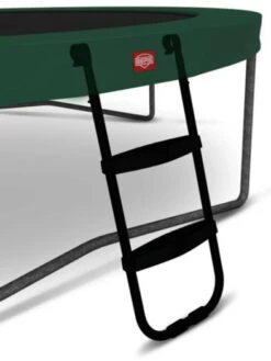 Escalera BERG Tamaño L (para Ultim Favorit 410)