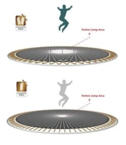 Cama Elástica BERG Champion 330 + Red Deluxe