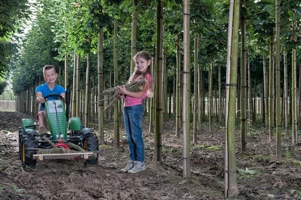Tractor De Pedales BERG JOHN DEERE BFR-3 5 Tractor De Pedales BERG JOHN DEERE BFR-3 - Image 5
